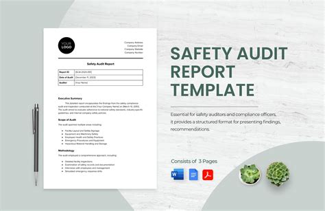 Audit Report Example 的图像结果