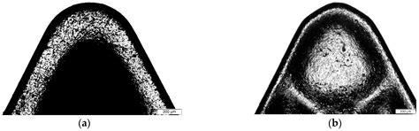 Effects of Tool Edge Geometry and Cutting Conditions on the Performance ...
