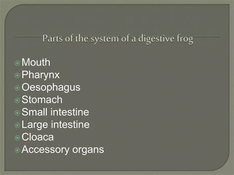 Digestive system of a frog | PPTX