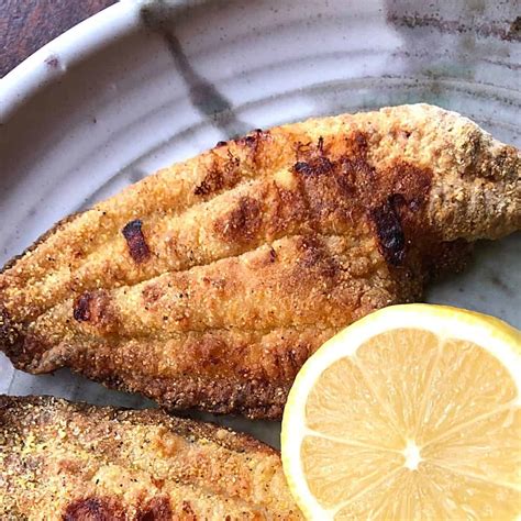 Crispy Southern Air Fryer Catfish Recipe - EasyHealth Living