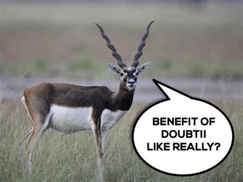 Salman Khan goes free in arms case: Hilarious memes on Bhai go viral ...