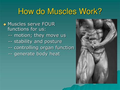 Image result for How Muscles Work Video