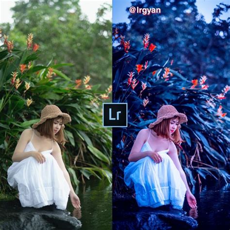 LR Tutorial Editing 的图像结果