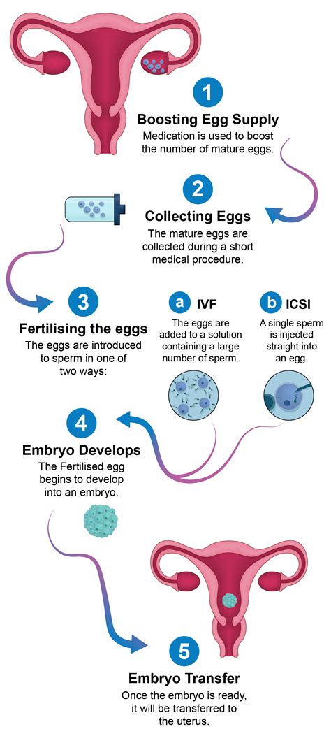 Fertility - Mid and South Essex Integrated Care System