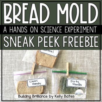 Image result for Hand Washing Experiment with Bread