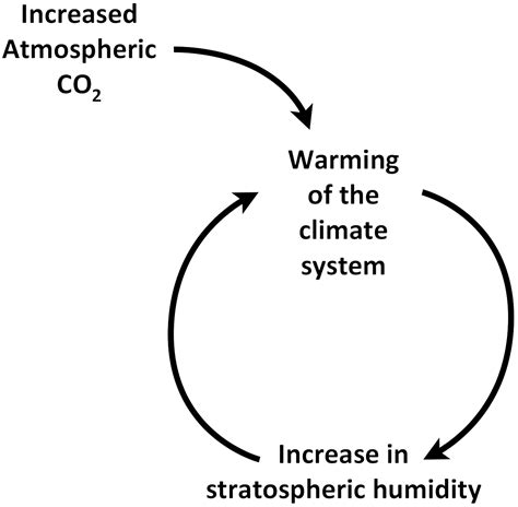 Image result for Negative Feedback Loop Global Warming