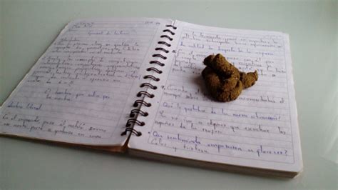 Image result for How to Make Fake Poop Slime