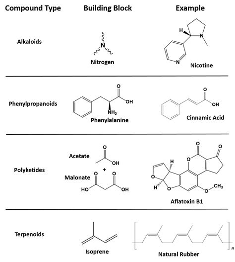 Image result for Organic Compounds Examples