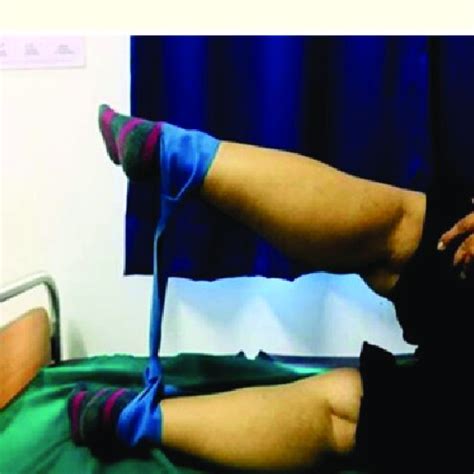 Image result for Contralateral Leg Raise