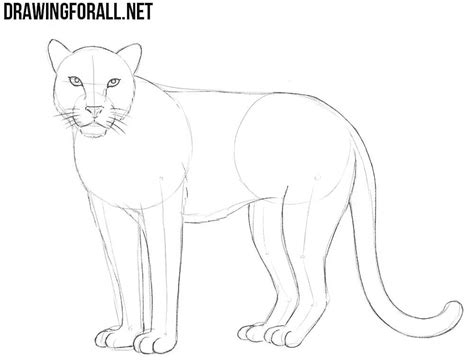 Image result for How to Draw Leopard Print Tutorial