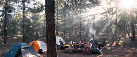 Waki Woods - Orient Group of Hotels & Resorts