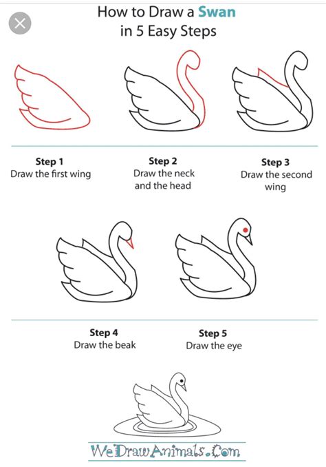 How to Draw a Swan Feet 的图像结果