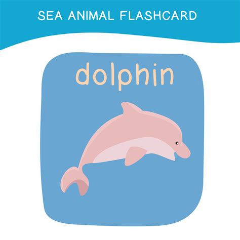 Sea Flashcard 的图像结果