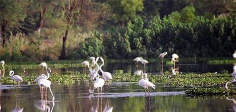 Weekend Getaways from Kalol, Tourist Places near Kalol City