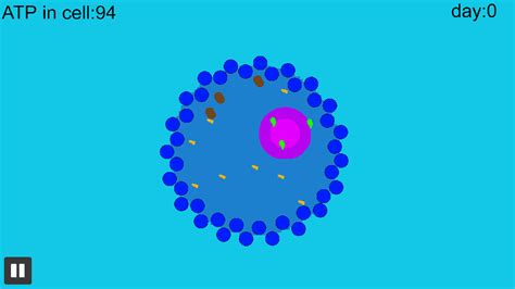 Cell Simulation 的图像结果