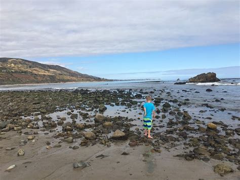 Leo Carrillo State Park Beach: Pictures & Reviews - Tripadvisor