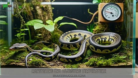 Image result for PVC Snake Enclosure