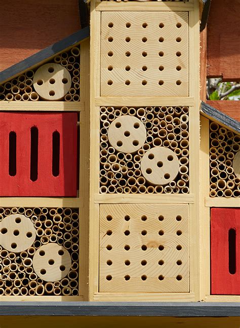 How to Make a Bumble Bee House 的图像结果