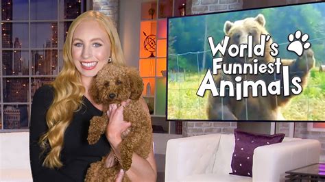 ‘World’s Funniest Animals’ | How to watch, live stream, TV channel ...