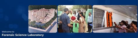 Home | Forensic Science Laboratory