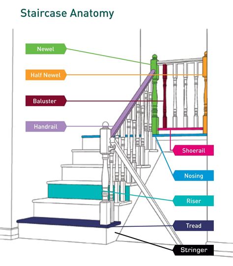 Stairs Anatomy | Stairs design, New staircase, Types of stairs