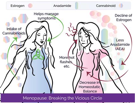 Managing hot flashes and night sweats ⋆ OK to Grow