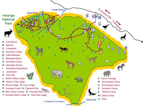 Hwange National Park – Zimbabwe Connections