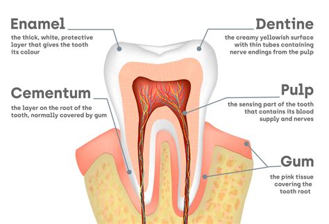 Sensitive teeth - The various causes and professional solutions