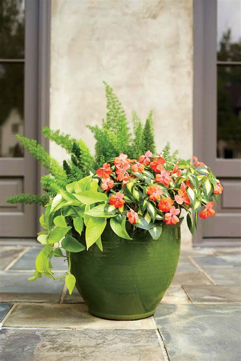 37 Heat-Tolerant Container Gardens Ideas For Summer