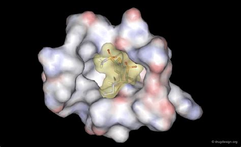 Image result for Molecular Docking Tutorial