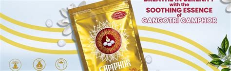 Gangotri Bambooles Agarbatti Incense Sticks, Pack of 2, 124 Sticks ...