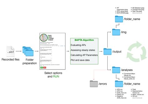 ABF Files in Python 的图像结果