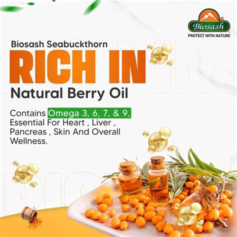 BIOSASH Sea buckthorn Juice Price in India - Buy BIOSASH Sea buckthorn ...
