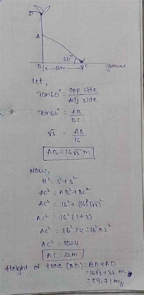 A tree breaks due to storm and broken part bends so that the top of the ...