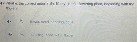 Solved: × What is the correct order in the life cycle of a flowering ...