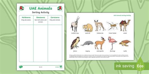 UAE Animals Sorting Activity (teacher made) - Twinkl