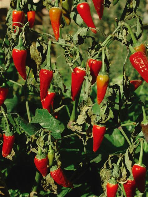 Hot+Mom+Gifs Photos, Download The BEST Free Hot+Mom+Gifs Stock Photos & HD Images