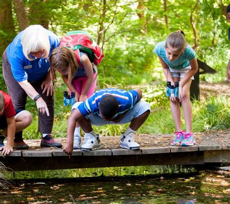 Do Outdoor Activities 的图像结果