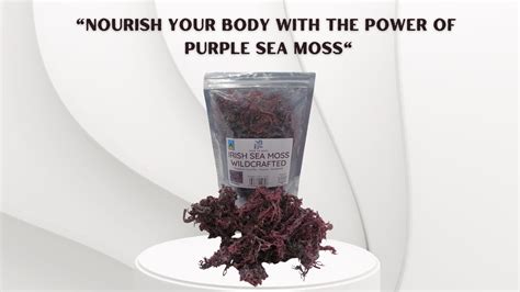 Purple Sea Moss Benefits: Unveiling the Secrets of this Superfood