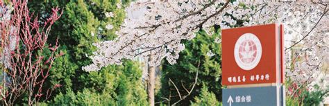 Computational Management Science 的图像结果