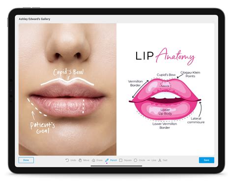 Plastic Surgery App Face