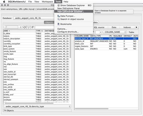 Image result for Ice SQL Workbench