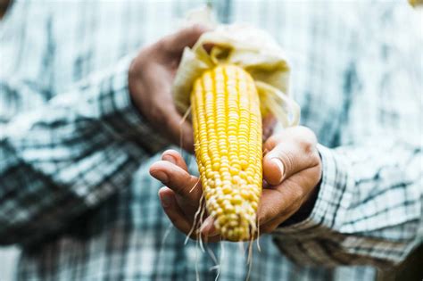 10 Parsley Companion Plants (What Not To Grow Near Parsley) - The Home Tome