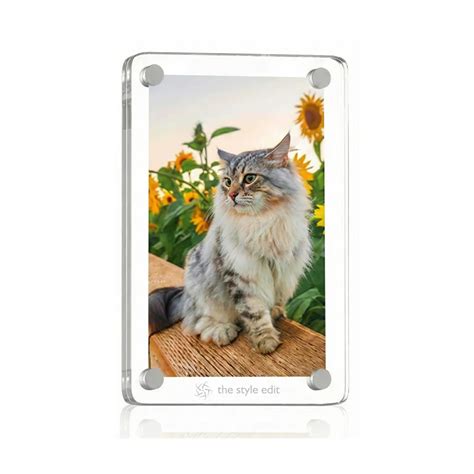 Crystal Clear Fridge Magnet Photo Frame | thestyleedit