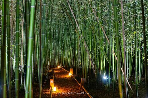 Retiro En Kyoto Bamboo