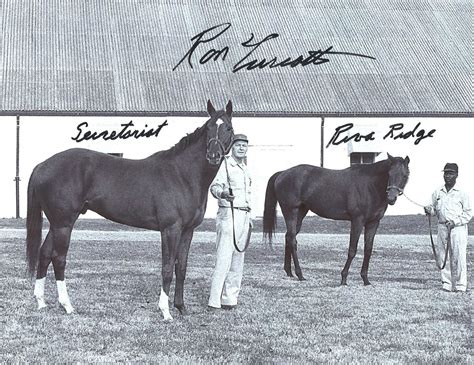 Secretariat and Riva Ridge | Horses, Western pleasure horses ...