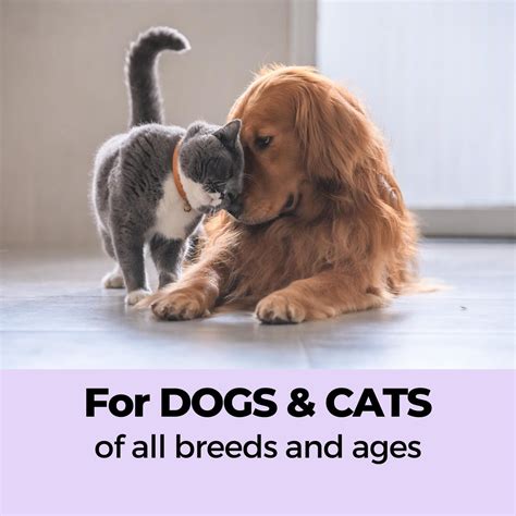 Keratin+ Anti-Hairfall Shampoo | Best Dog hair fall shampoo – Moe Puppy