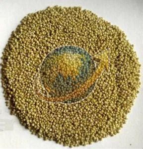 Barnyard Millet Seeds Exporter, Supplier from Hyderabad