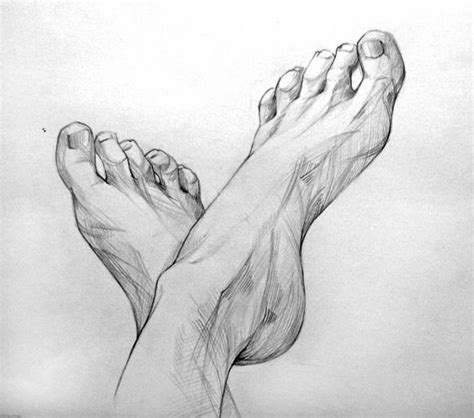 Foot Drawing 的图像结果