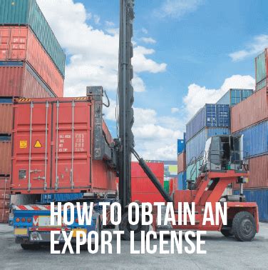 Export License Process 的图像结果